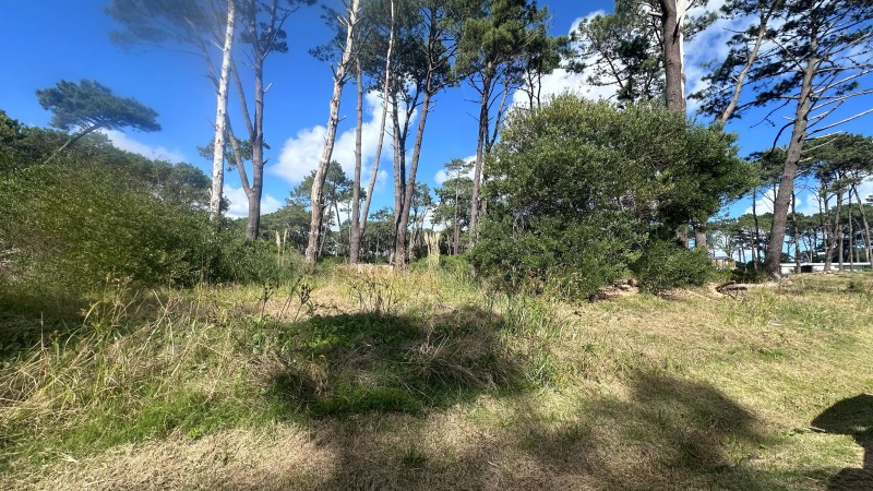 Lote en venta en La Reserva de Montoya